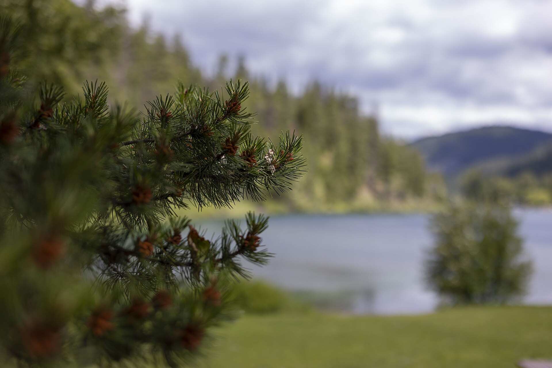 Lac Allison