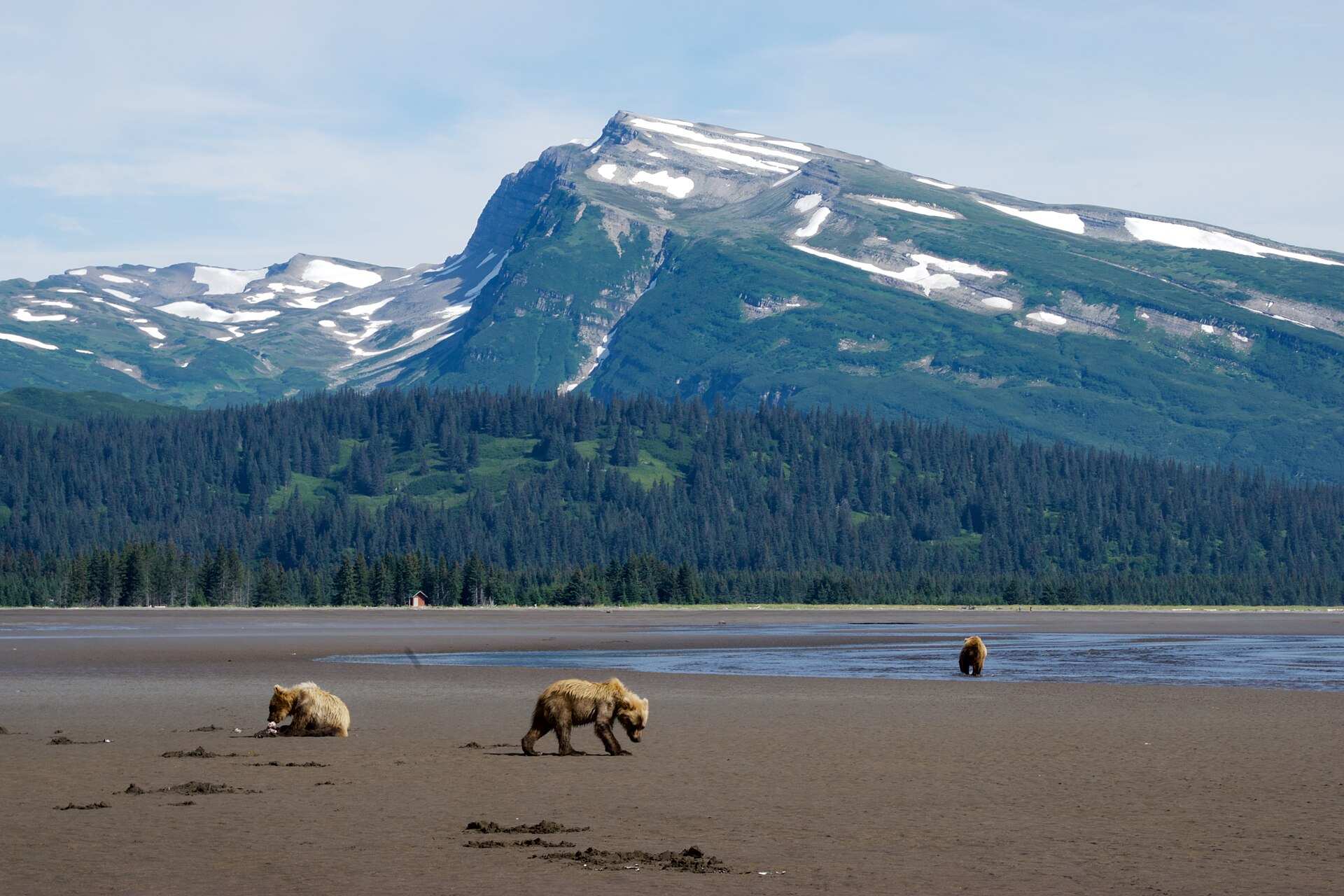 Parc national et réserve de Lake Clark