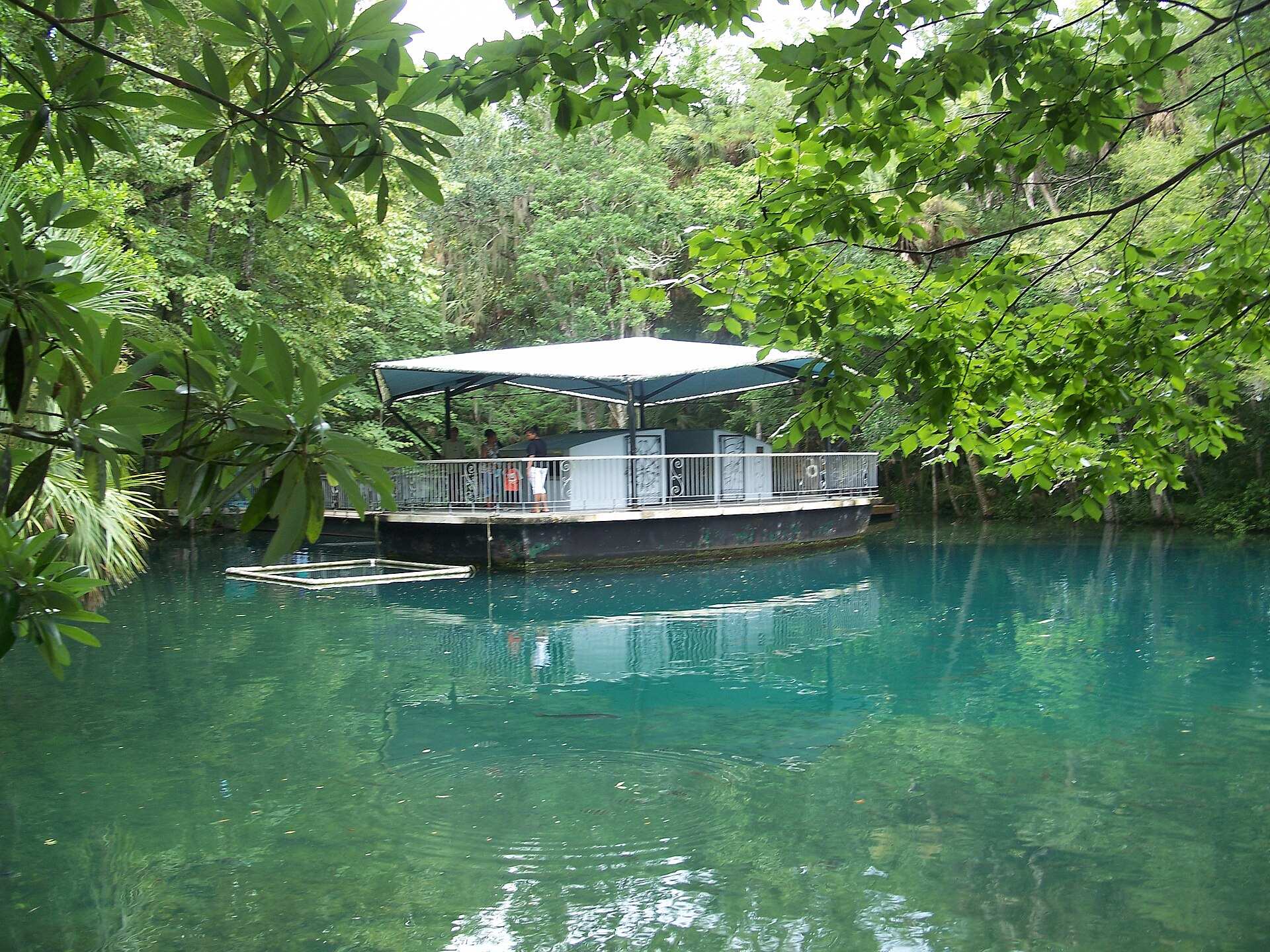 Parc d'État de la faune Ellie Schiller Homosassa Springs