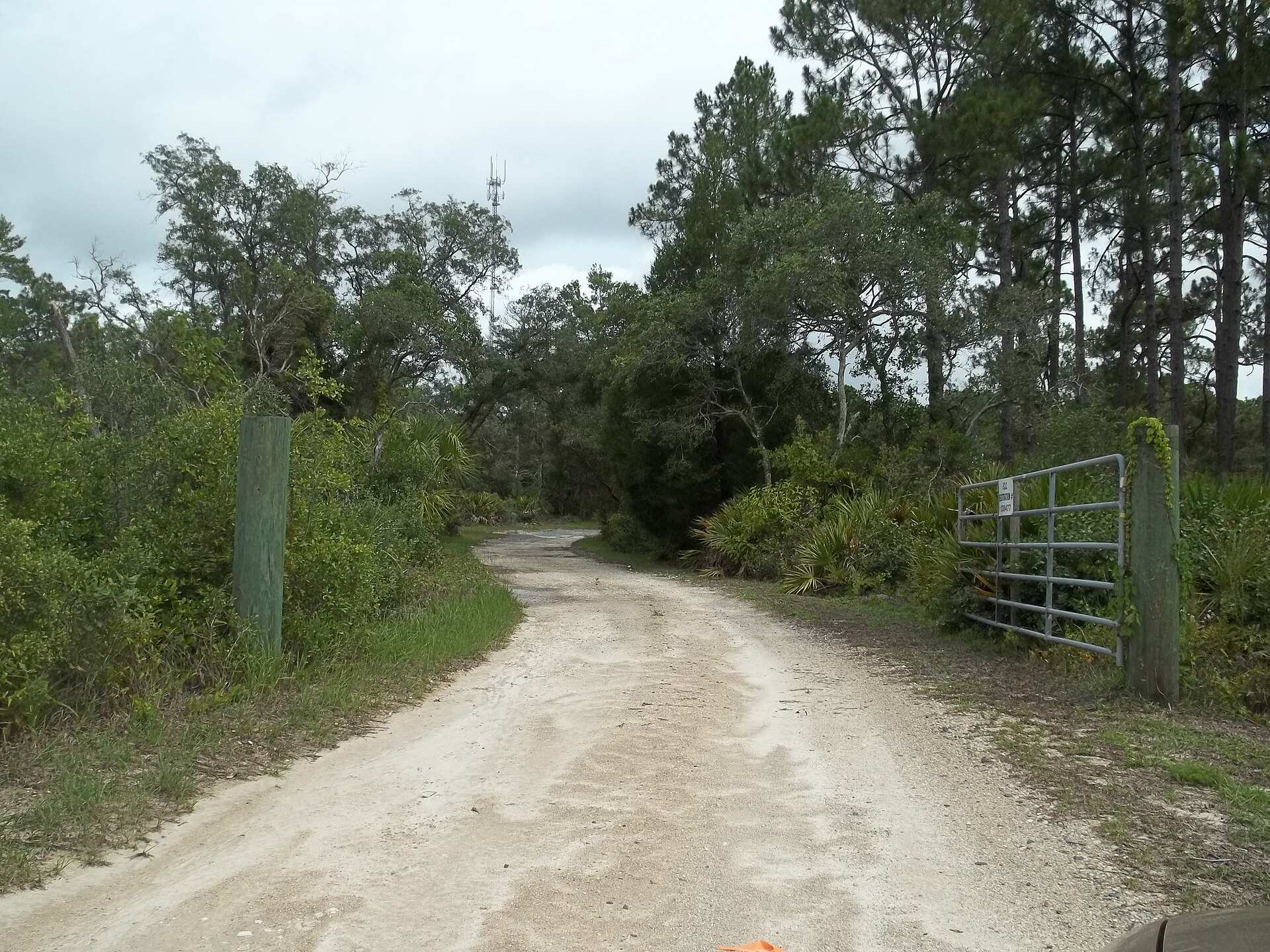 Réserve d'État Waccasassa Bay Preserve