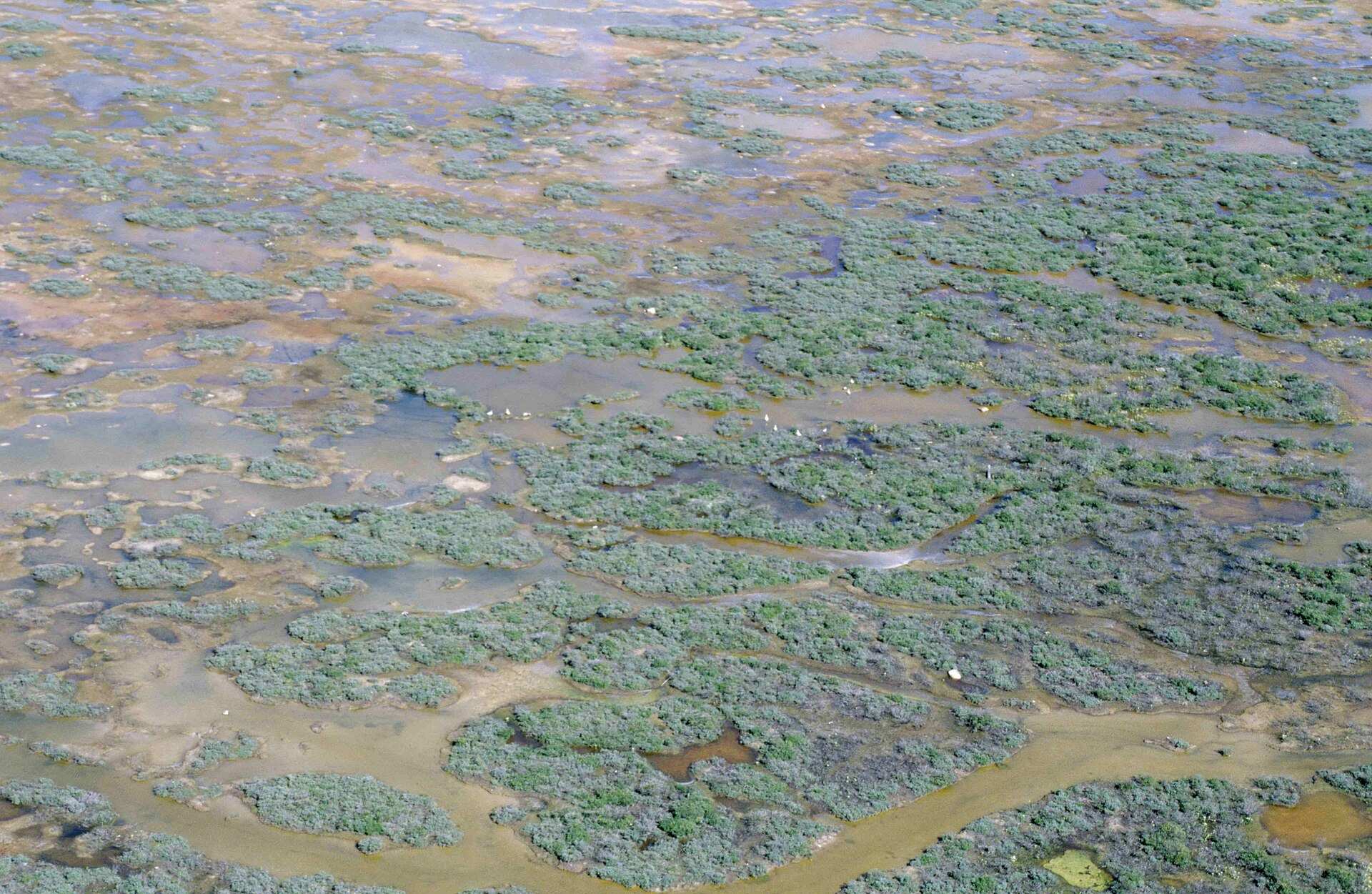Parc national Wapusk