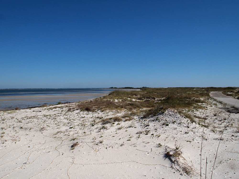 Parc d'État Dr. Julian G. Bruce St. George Island