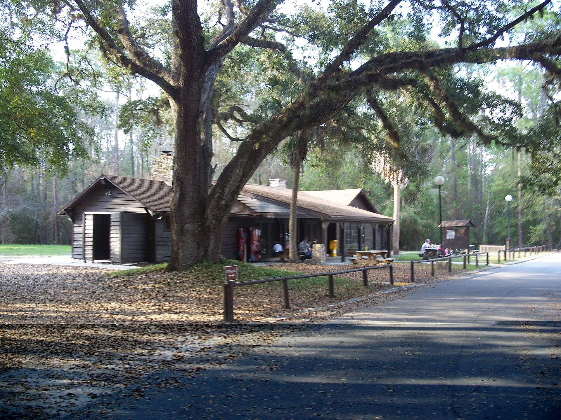 Highlands Hammock State Park Campground