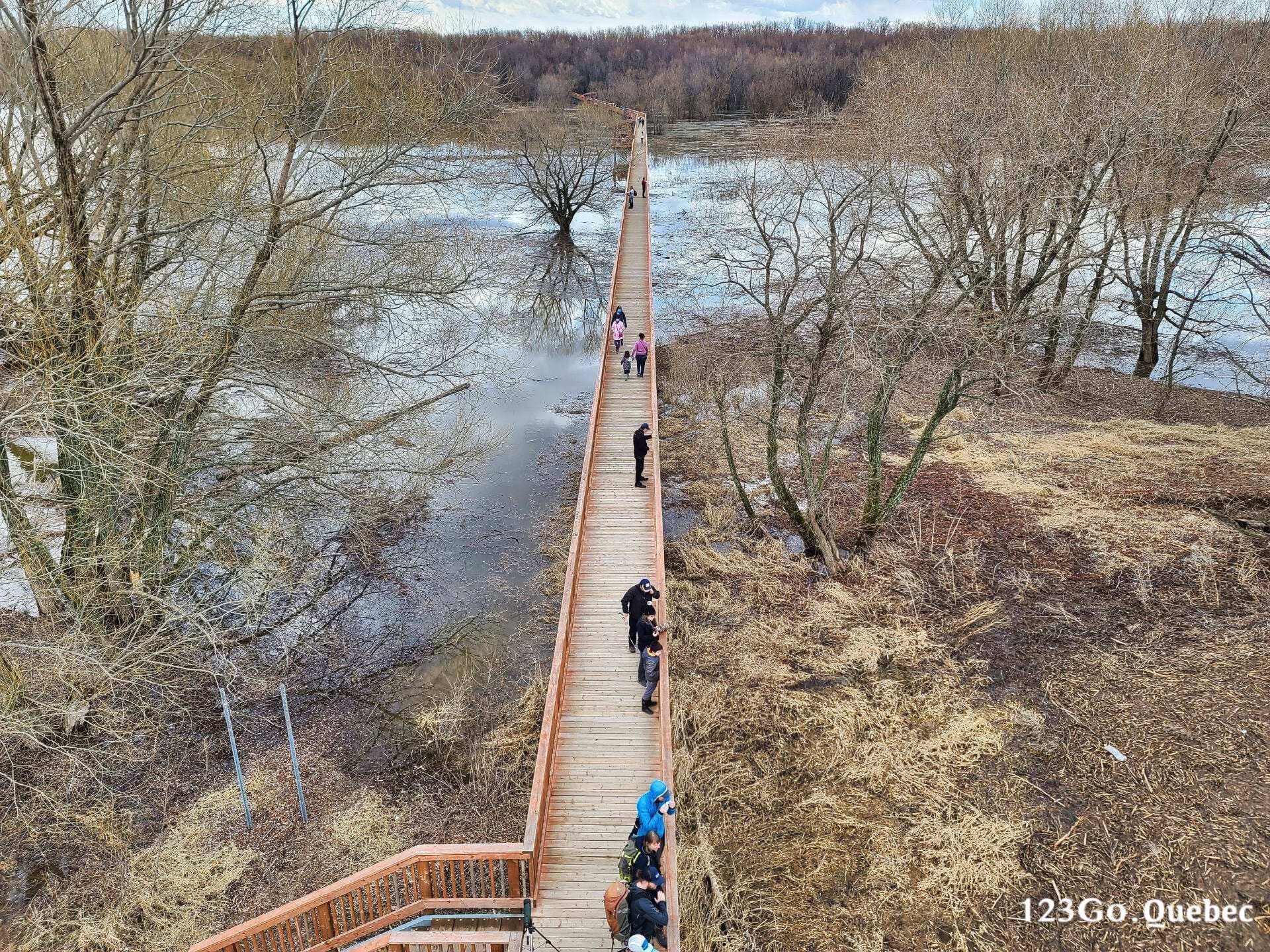 Parc écomaritime de l'Anse-du-Port (passerelle)