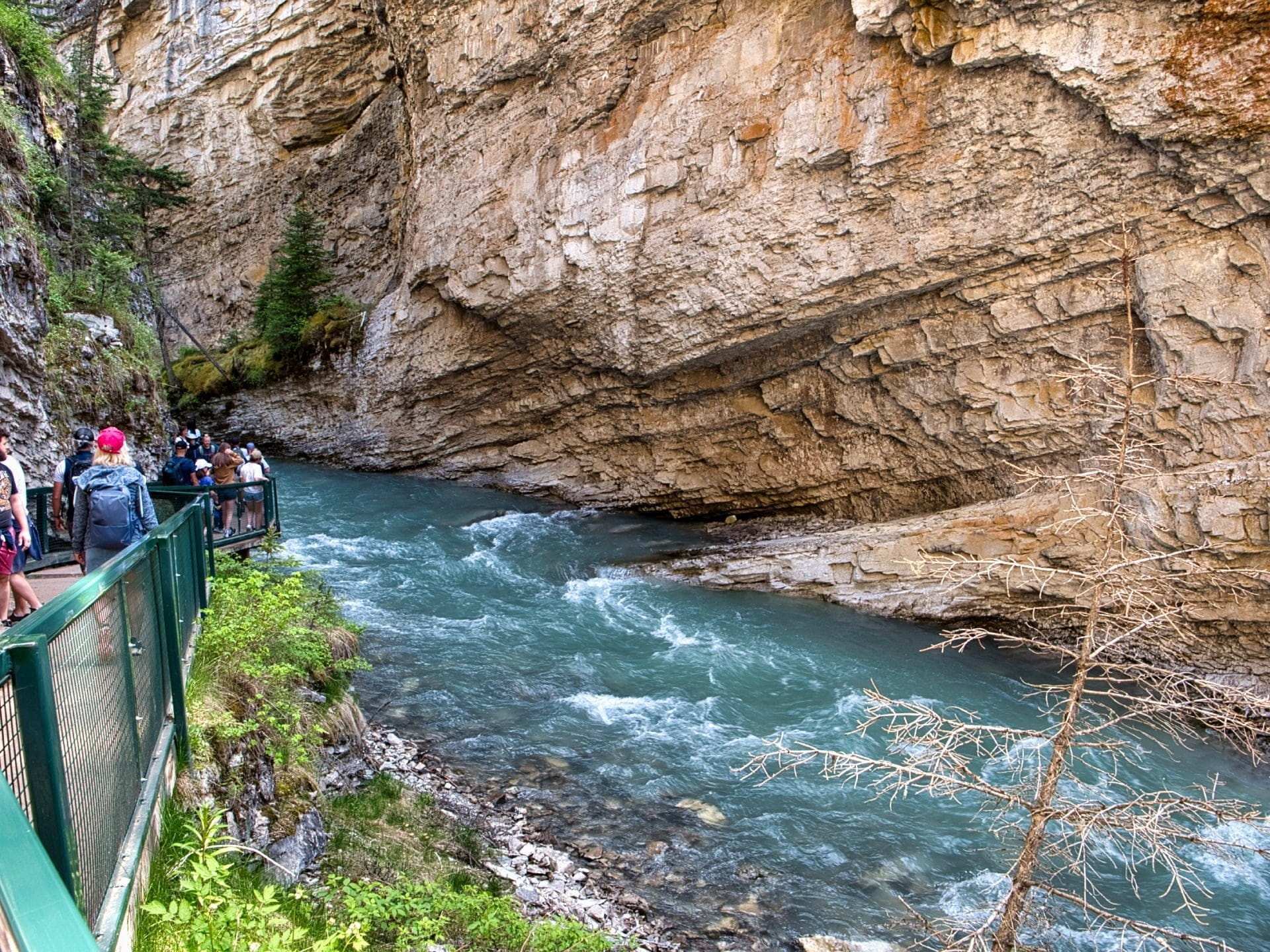 Johnston Canyon
