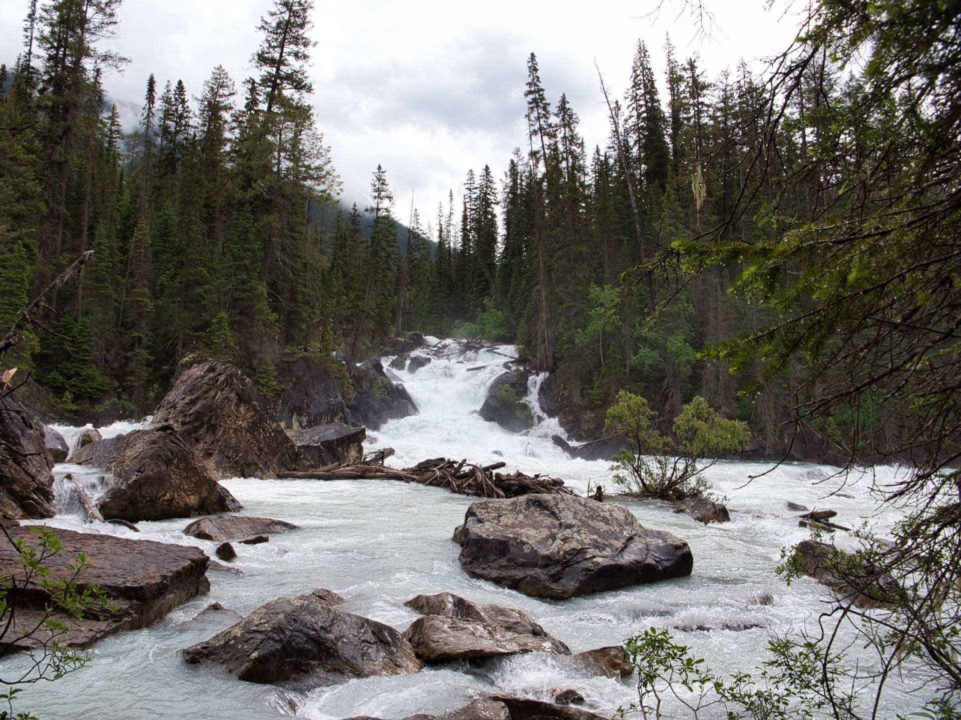 Meeting of the waters confluent
