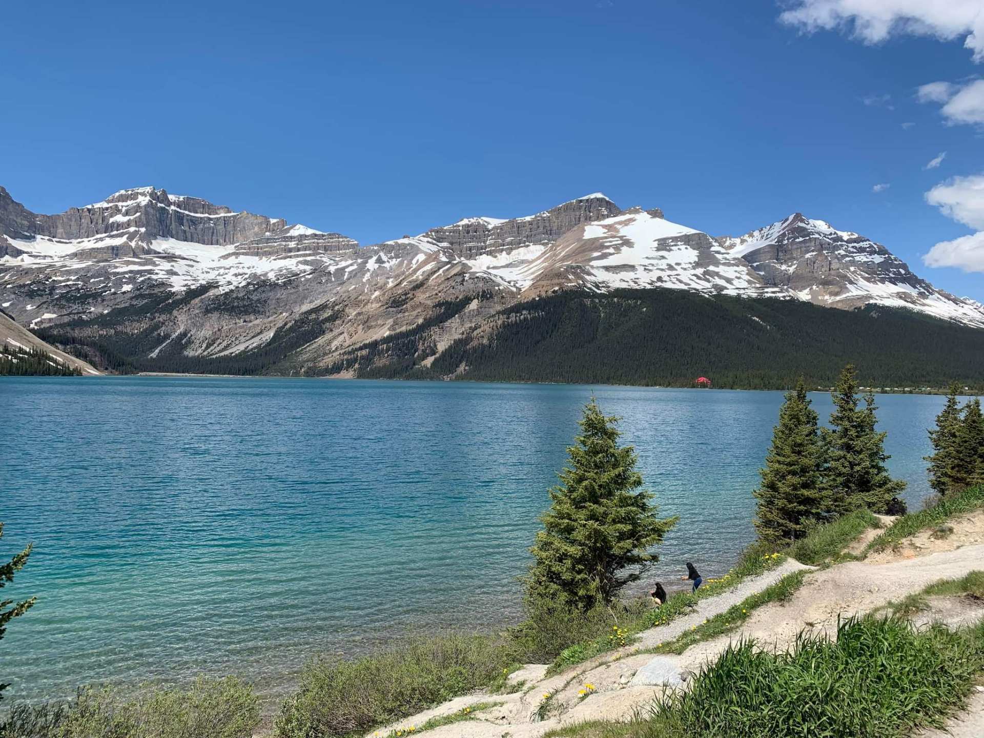 Bow Lake Viewpoint, Alberta,